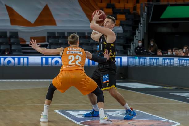 的照片中可 的照片中可