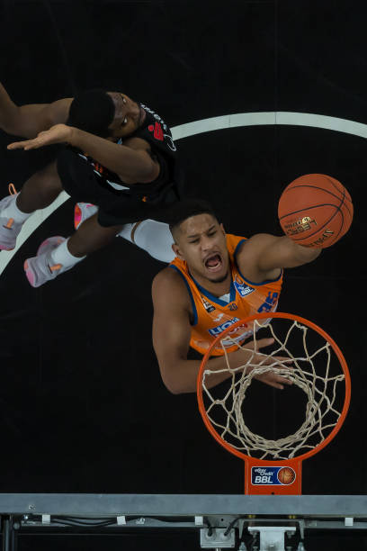 仅能细化每 仅能细化每